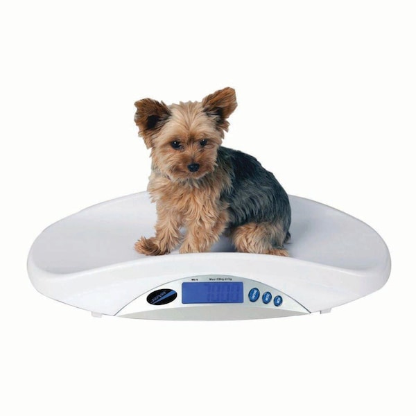 Jorgensen Laboratories Portable Digital Scale J0825M - main
