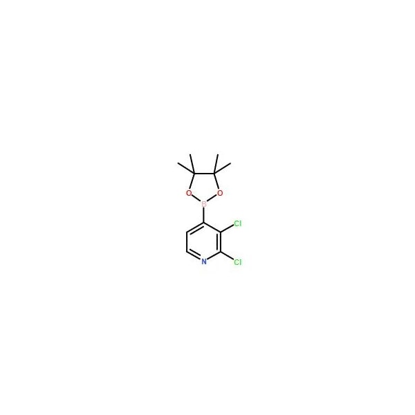 Ak Scientific 2, 3-Dichloropyridine-4-boronic acid pinacol ester (1g), CAS 1073353-78-2 X1591-1g - main