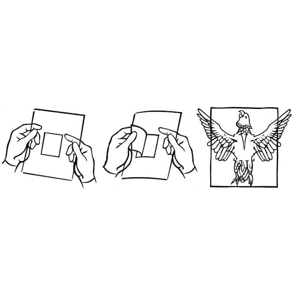 Jorgensen Laboratories Avian Adhesive Drape, 24"x24", Sterile, 5PK J0259XS - main