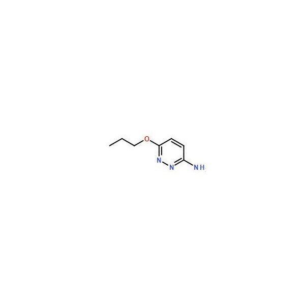 Ak Scientific 6-Propoxypyridazin-3-amine (1g), CAS 90008-50-7 W9280-1g - main
