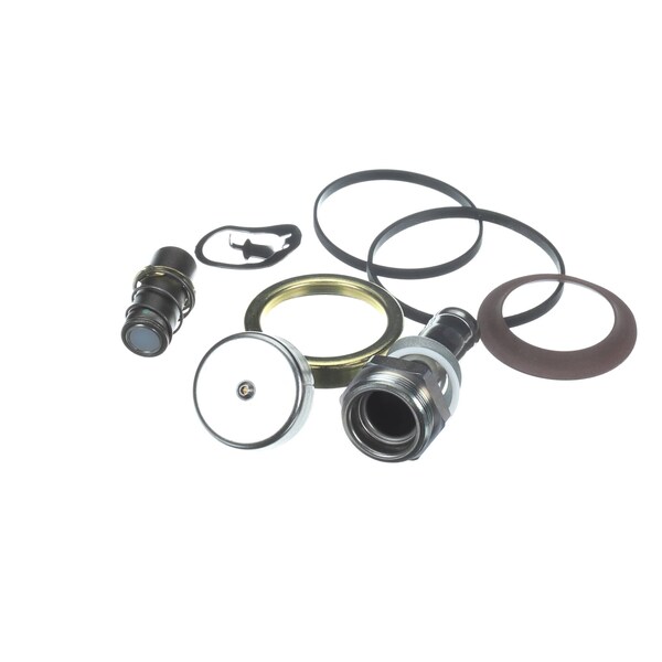 Insinger Repair Kit, Steam Solenoid Valve D2490-R3-RK - main
