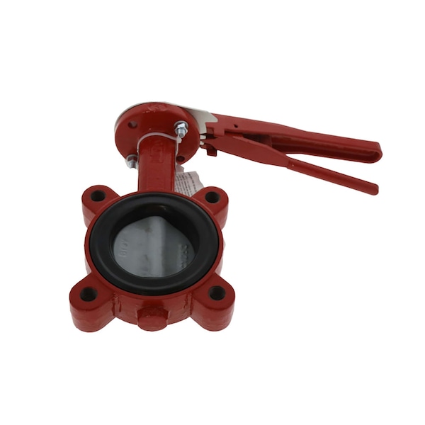 Bray 3 in. LUG DI BODY BTRFLY VLV W/HDL 310300-BFA12390 - main