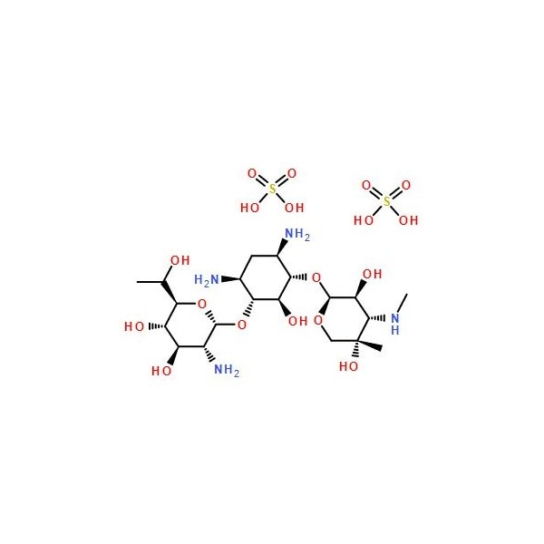 Ak Scientific Geneticin disulfate (1g), CAS 108321-42-2 X4648-1g - main
