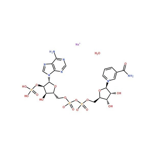 Ak Scientific Beta-nicotinamide adenine dinucleotide phosphate sodium salt hydrate, oxidized form (5g), CAS 69899 6180AH-5g - main