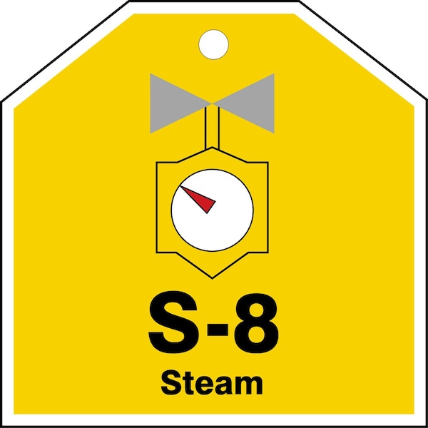 Accuform Energy Source ID Tag, S-8 STEAM, 2.5in x 2.5in, Plastic, 5PK TDJ108VPM - main