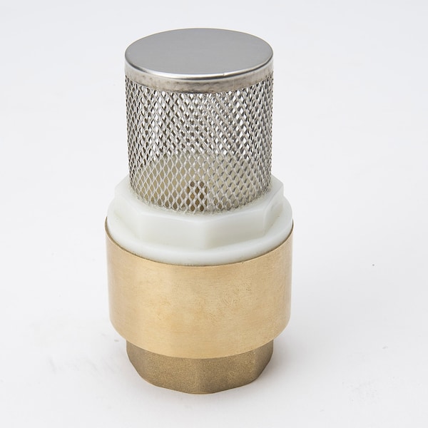 Proline Series 1" Brass Foot Valve PK6 101-325NL - main