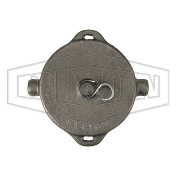 Dixon Pipe Cap, 3 in Nominal, NPSM, Iron, Domestic 300-PC-MI - main