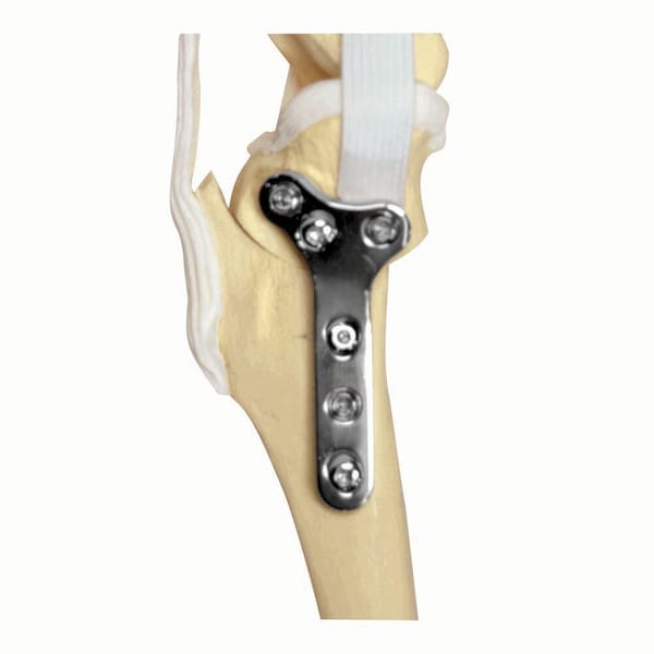 Jorgensen Laboratories TPLO Locking Plate 2.7 Left J0438ALA - main