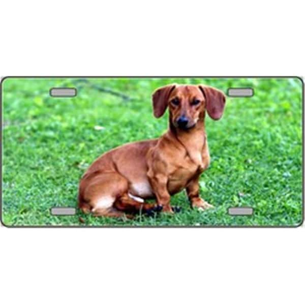 Powerhouse Dachshund Dog Pet Novelty License Plates- Full Color Photography License Plates PO515087 - main