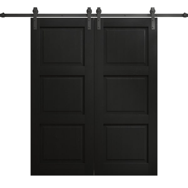 Sartodoors Modern Double Barn Door 84 x 96 inches, Ego 5010 Painted Black Oak, 14FT Rail Track Set, Solid Pa EGO5010DB-CHK-8496 - main