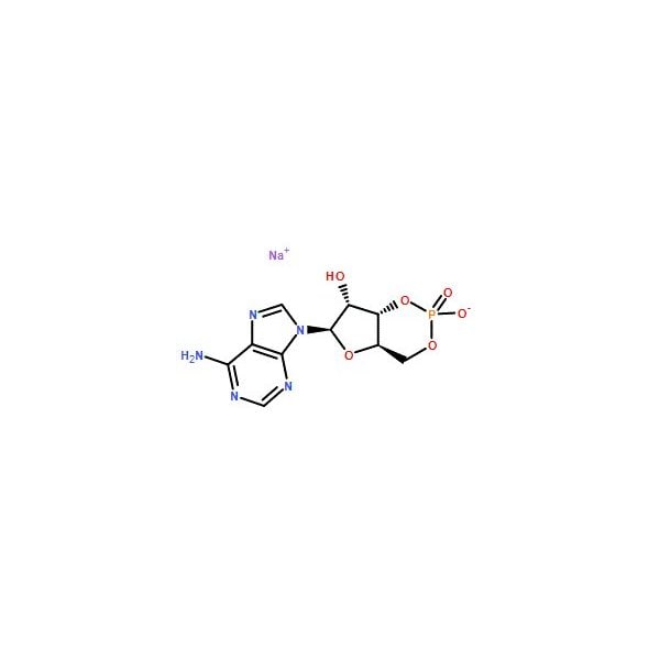 Ak Scientific Adenosine-3', 5'-cyclic monophosphate sodium salt (1g), CAS 37839-81-9 6122AH-1g - main
