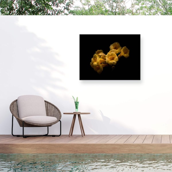Trademark Fine Art Outdoor Canvas Art Brian Carson 'Backyard Flowers 63' Wall Art for Patios, or Gardens BRC00064-OC2432WR - main