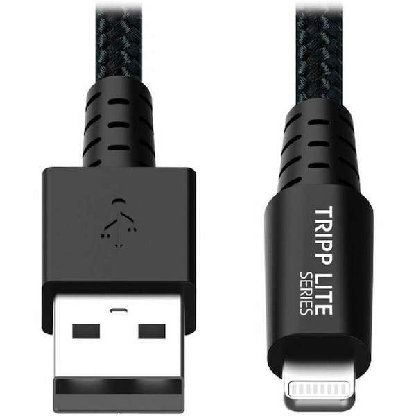 Tripp Lite CABLE HEAVY-DUTY USB SYNC CHARGE 1 FT M100-001-GY-MAX - main