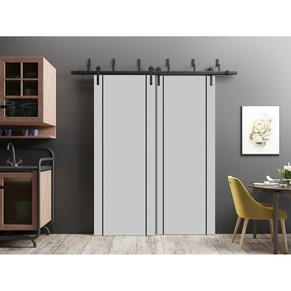 Sartodoors Barn Bypass Doors with 6.6ft Hardware, Planum 0017 Matte Grey and Aluminum Strips, Sturdy Heavy Dut PLANUM0017BBB-GRE-5696 - main