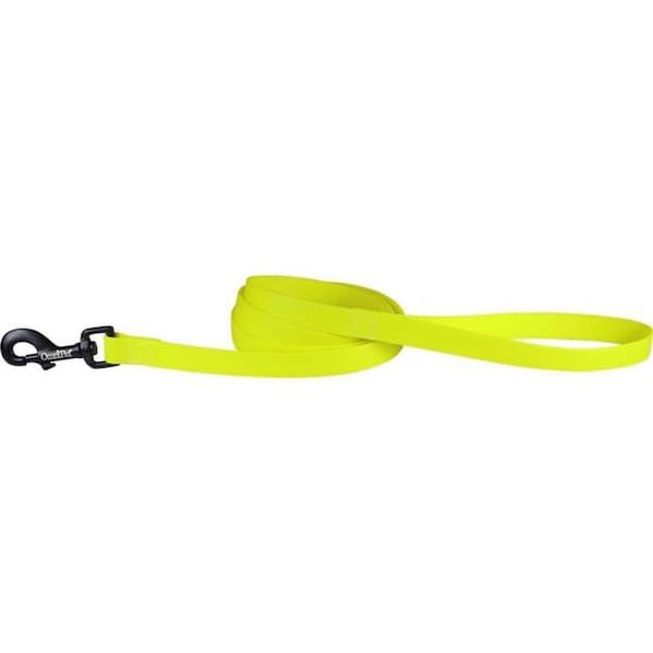 Tandy Leather Factory Leather Brothers 0.75 in. x 6 ft. Carnival Biothane Dog Lead, Neon Yellow 19148-NYL - main