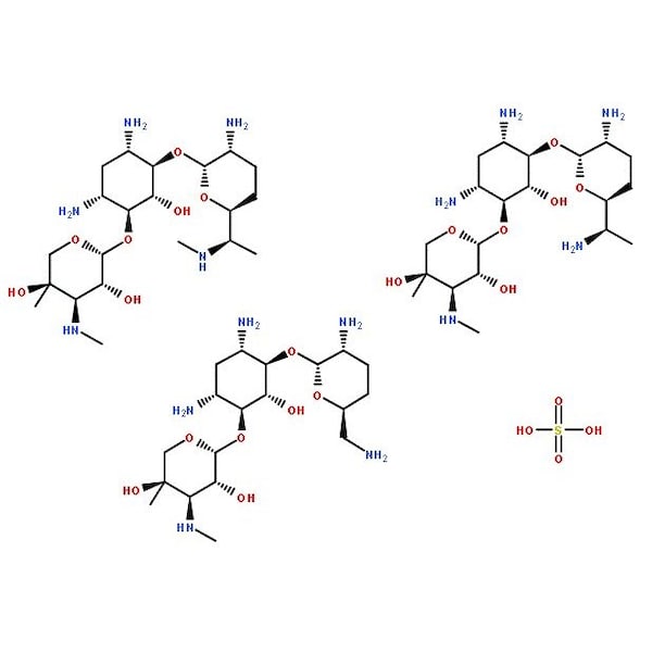 Ak Scientific Gentamicin sulfate, >590ug/mg, meet USP specifications (25g), CAS 1405-41-0 G964-25g - main