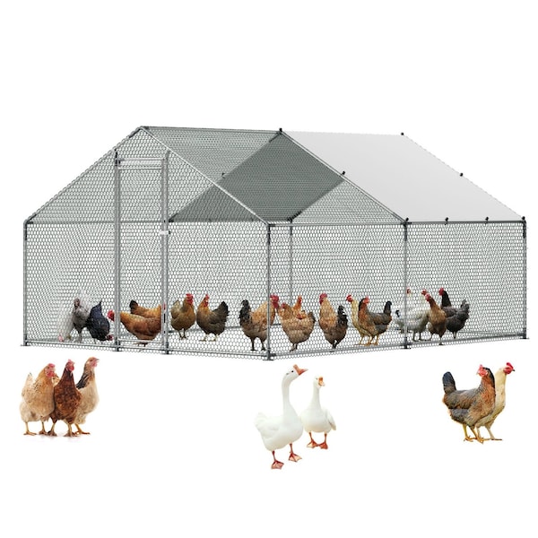 Vevor Metal Chicken Coop 9.8x19.6x6.5 ft Walk-in Chicken Run with Cover Spire Roof JD362 - main