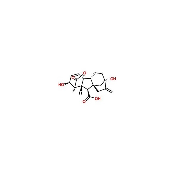 Ak Scientific Gibberellic acid (1g), CAS 77-06-5 K339-1g - main