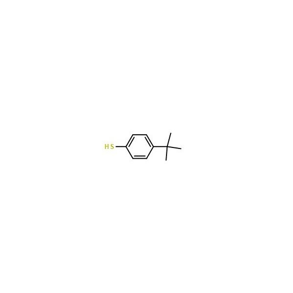 Ak Scientific 4-tert-Butylbenzenethiol (1g), CAS 2396-68-1 U707-1g - main