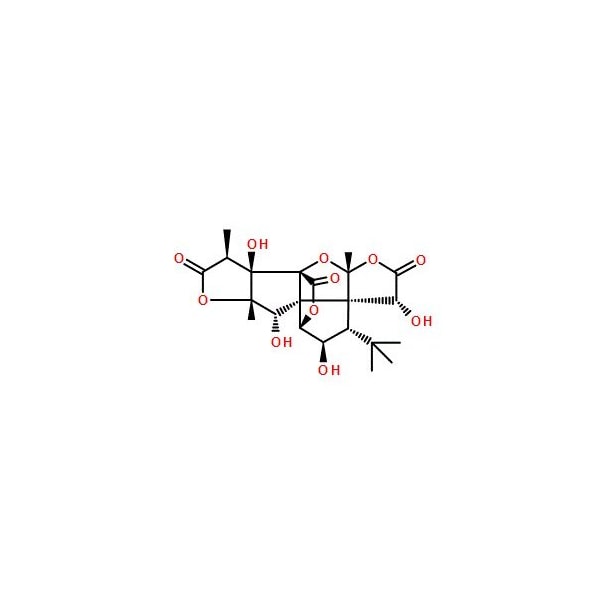 Ak Scientific Ginkgolide C (1mg), CAS 15291-76-6 V0724-1mg - main