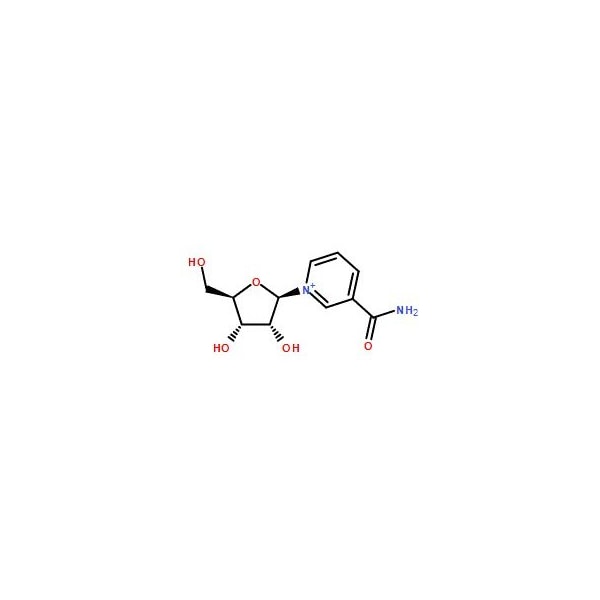 Ak Scientific Nicotinamide riboside chloride (5g), CAS 1341-23-7 Z5778-5g - main