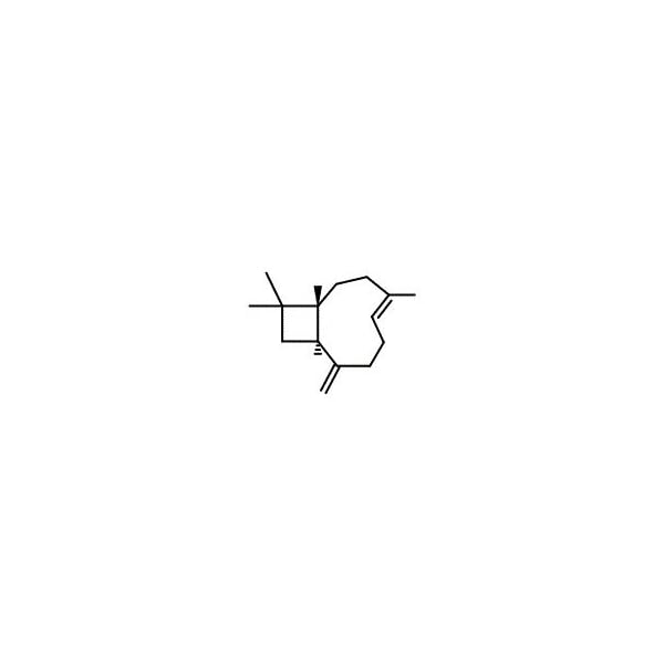 Ak Scientific (-)-trans-Caryophyllene (25mL), CAS 87-44-5 V0915-25mL - main
