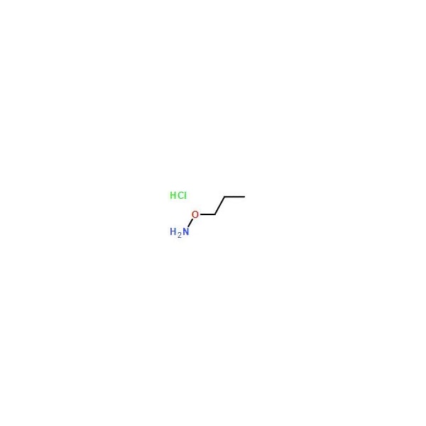 Ak Scientific 1-(Aminooxy)propane hydrochloride (1g), CAS 6084-54-4 6597AE-1g - main