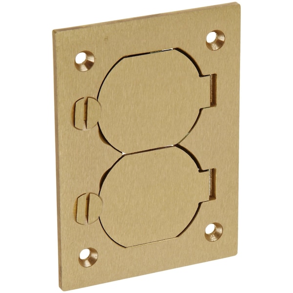 Hubbell Wiring 1-Gang Cover, Rectangular, Duplex Flaps, Brass S3825 - main