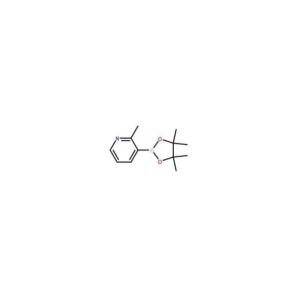 Ak Scientific 2-Methylpyridine-3-boronic acid pinacol ester (1g), CAS 1012084-56-8 X1487-1g - main