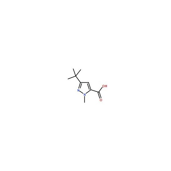 Ak Scientific 3-(tert-Butyl)-1-methyl-1H-pyrazole-5-carboxylic acid (10g), CAS 175277-11-9 X0199-10g - main