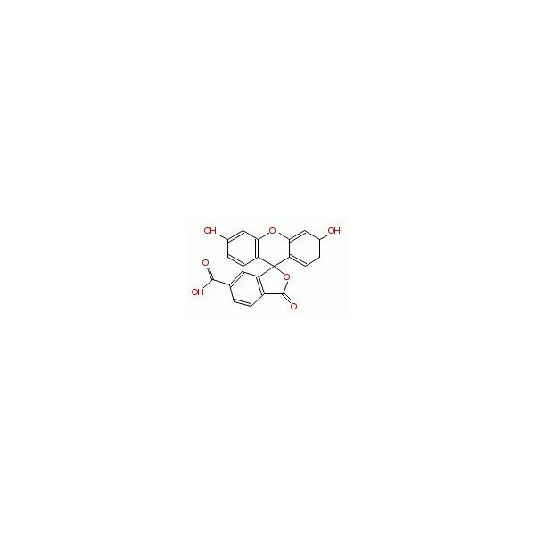 Ak Scientific 6-FAM (5g), CAS 3301-79-9 X6762-5g - main