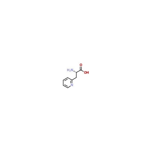 Ak Scientific 3-(2-Pyridyl)-L-alanine (10g), CAS 37535-51-6 E888-10g - main