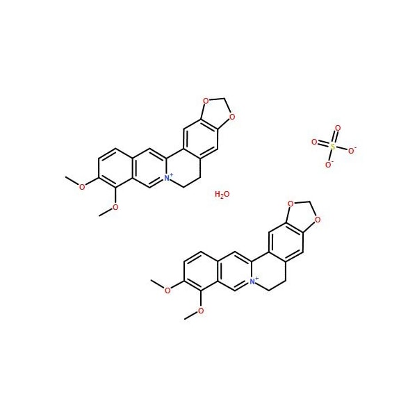 Ak Scientific Berberine sulfate hydrate (1g), CAS 316-41-6 9599AJ-1g - main