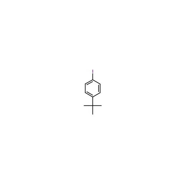 Ak Scientific 1-(tert-Butyl)-4-iodobenzene (5g), CAS 35779-04-5 W5729-5g - main