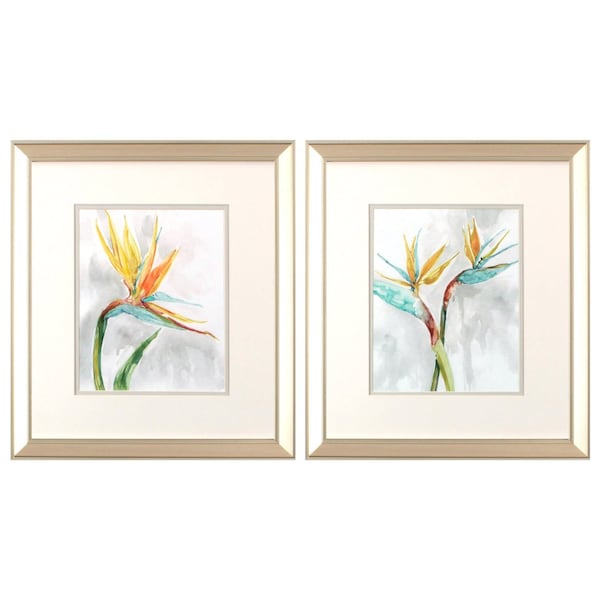 Homeroots Set Of Two Bird of Paradise Champagne Framed Print Wall Art, 2PK 484168 - main