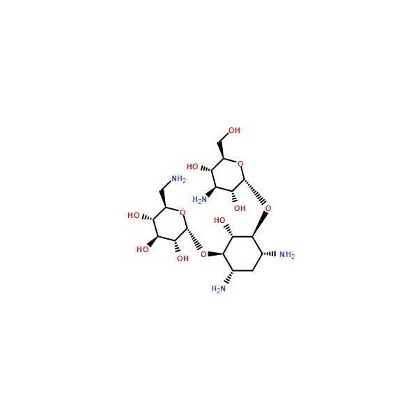 Ak Scientific Kanamycin, 860u/mg (1g), CAS 8063-07-8 K434-1g - main