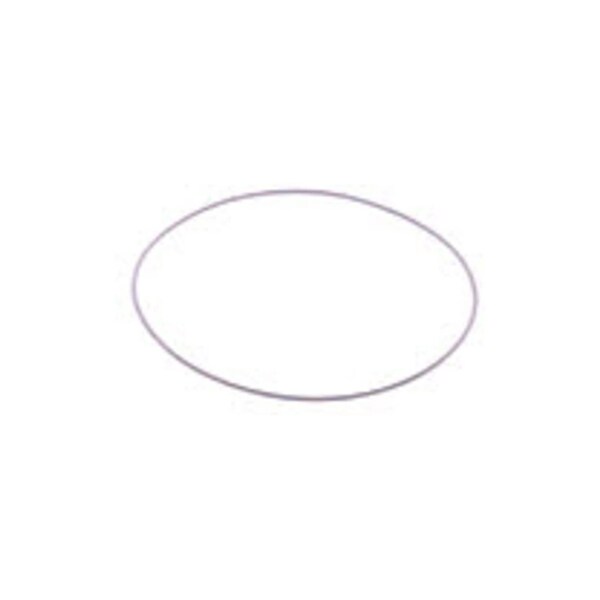 Echo O-RING P005000280 - main