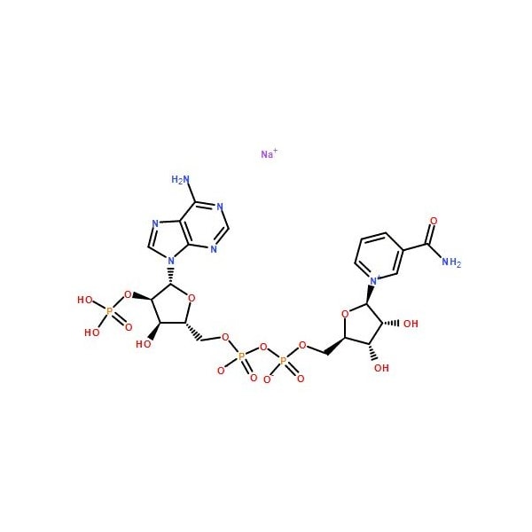 Ak Scientific beta-Nicotinamide adenine dinucleotide phosphate sodium salt (NADP sodium salt) (25g), CAS 1184-16- R595-25g - main