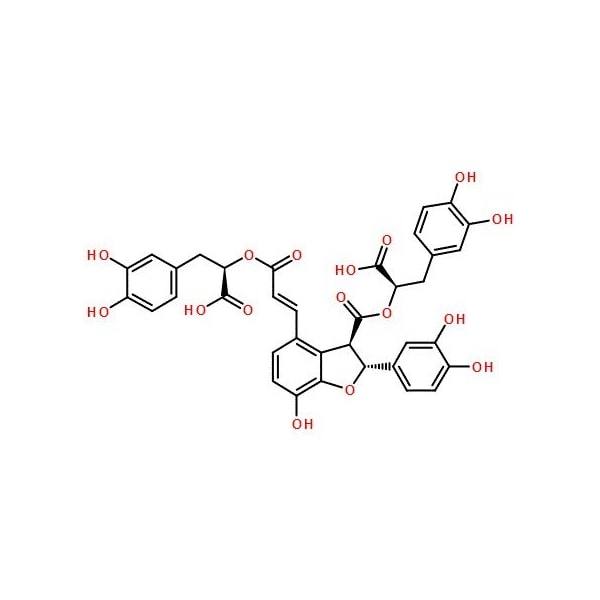 Ak Scientific Salvianolic acid B (5g), CAS 121521-90-2 S609-5g - main