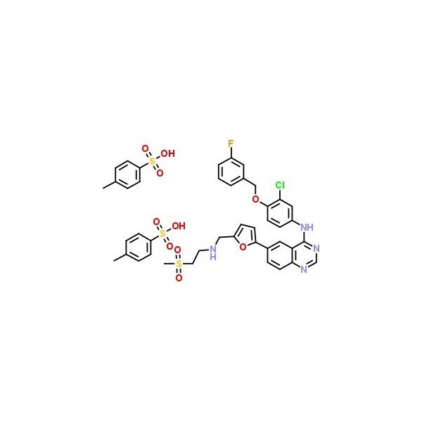 Ak Scientific Lapatinib ditosylate (1g), CAS 388082-77-7 A817-1g - main
