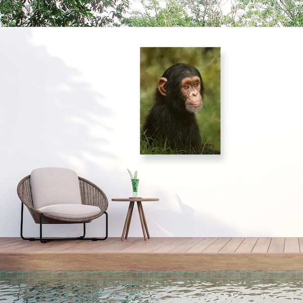 Trademark Fine Art Outdoor Canvas Art David Stribbling Chimp Wall Art for Patios, or Gardens GRL01621-OC2432WR - main