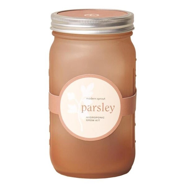 Conservatorio Parsley Grow Kit CO2185512 - main