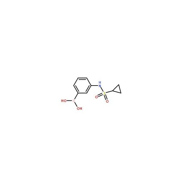 Ak Scientific 3-(Cyclopropanesulfonamido)phenylboronic acid (5g), CAS 1072945-67-5 X1529-5g - main
