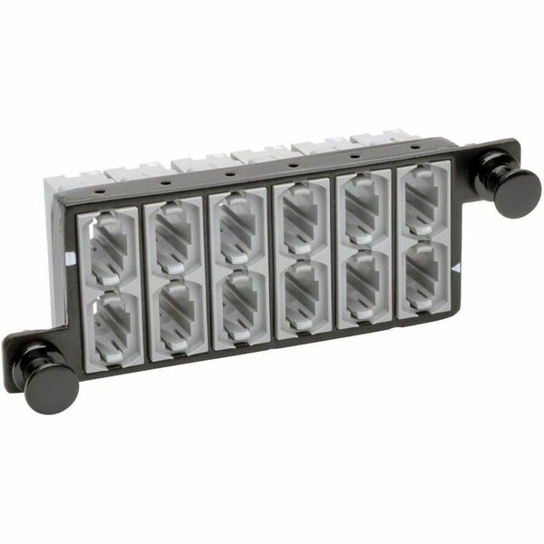 Tripp Lite 12-FIBER PATCH PANEL MTP/MTO X 12 40GB PASS THROUGH CASSETTE N482-12M12-X2 - main
