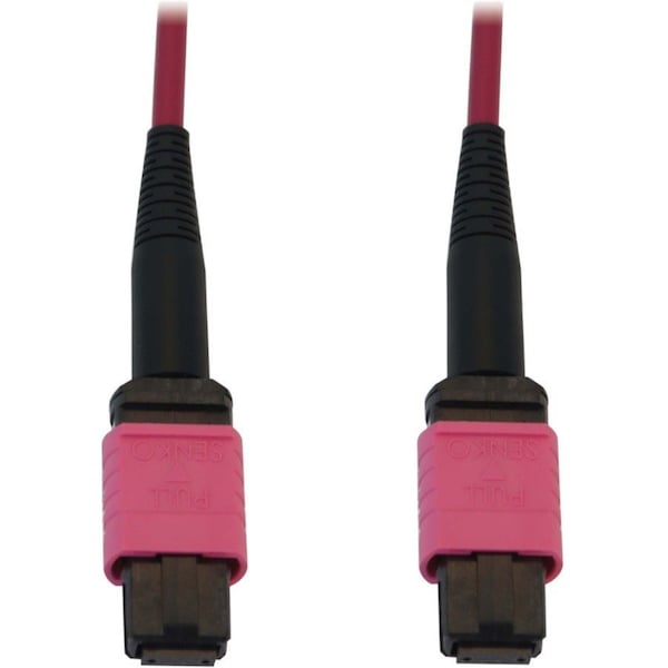 Eaton Tripp Lite Series 100G Multimode 50/125 OM4 Fiber Optic Cable 12F MTP/MPO-PC F/F, LSZH, N845B-20M-12-MG - main