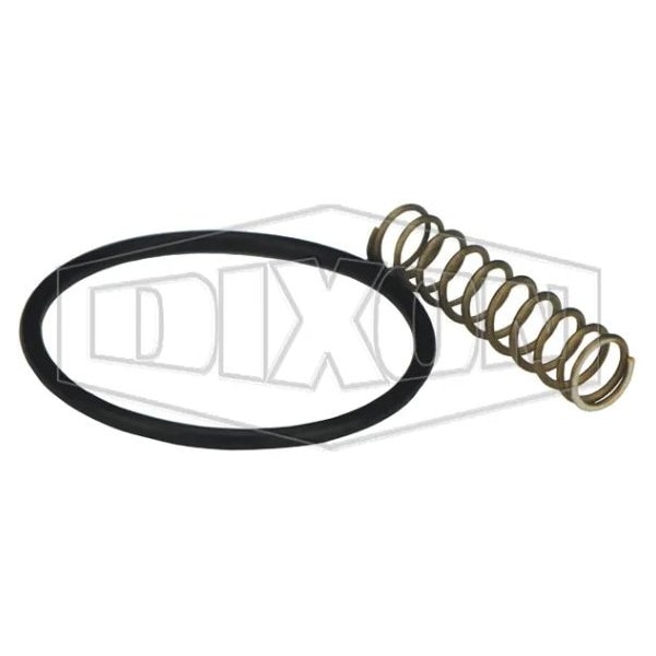 Dixon Optional Check Valve Spring Kit, For Use with BL918, BL919 and BL920 Bulk Delivery Nozzle BL-RK112 - main