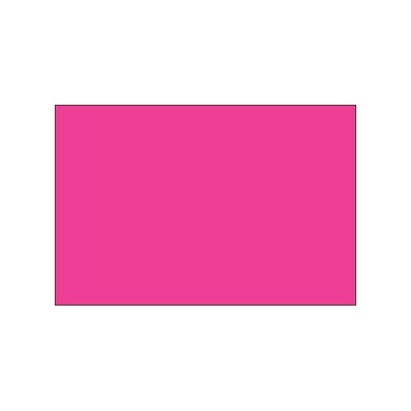 Bsc Preferred 4 x 6'' Fluorescent Pink Inventory Rectangle Labels DL635K - main