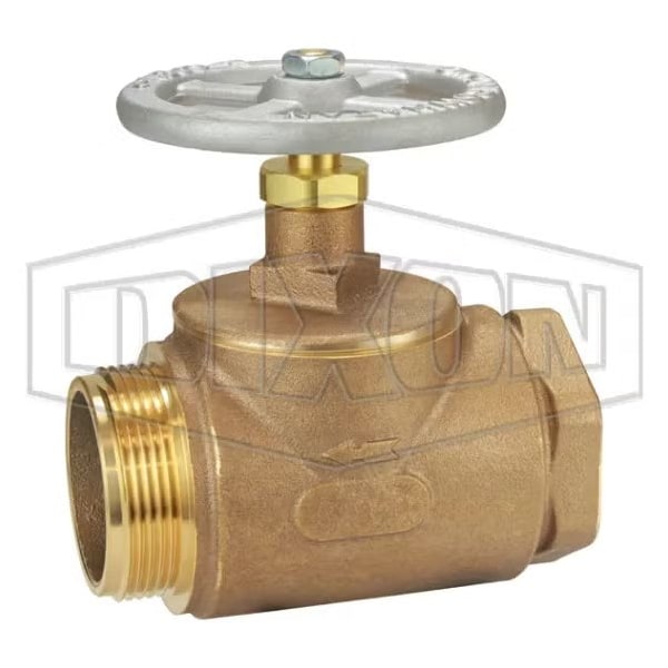 Dixon Straight Globe Valve, 2-1/2 in, FNPT, Brass Body SGV250F - main