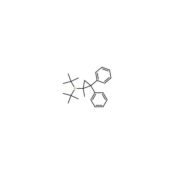 Ak Scientific cBRIDP (5g), CAS 742103-27-1 7334AL-5g - main