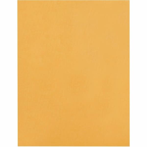 Business Source Filing Envelope, Brown, Kraft, PK100 BSN36664 - main